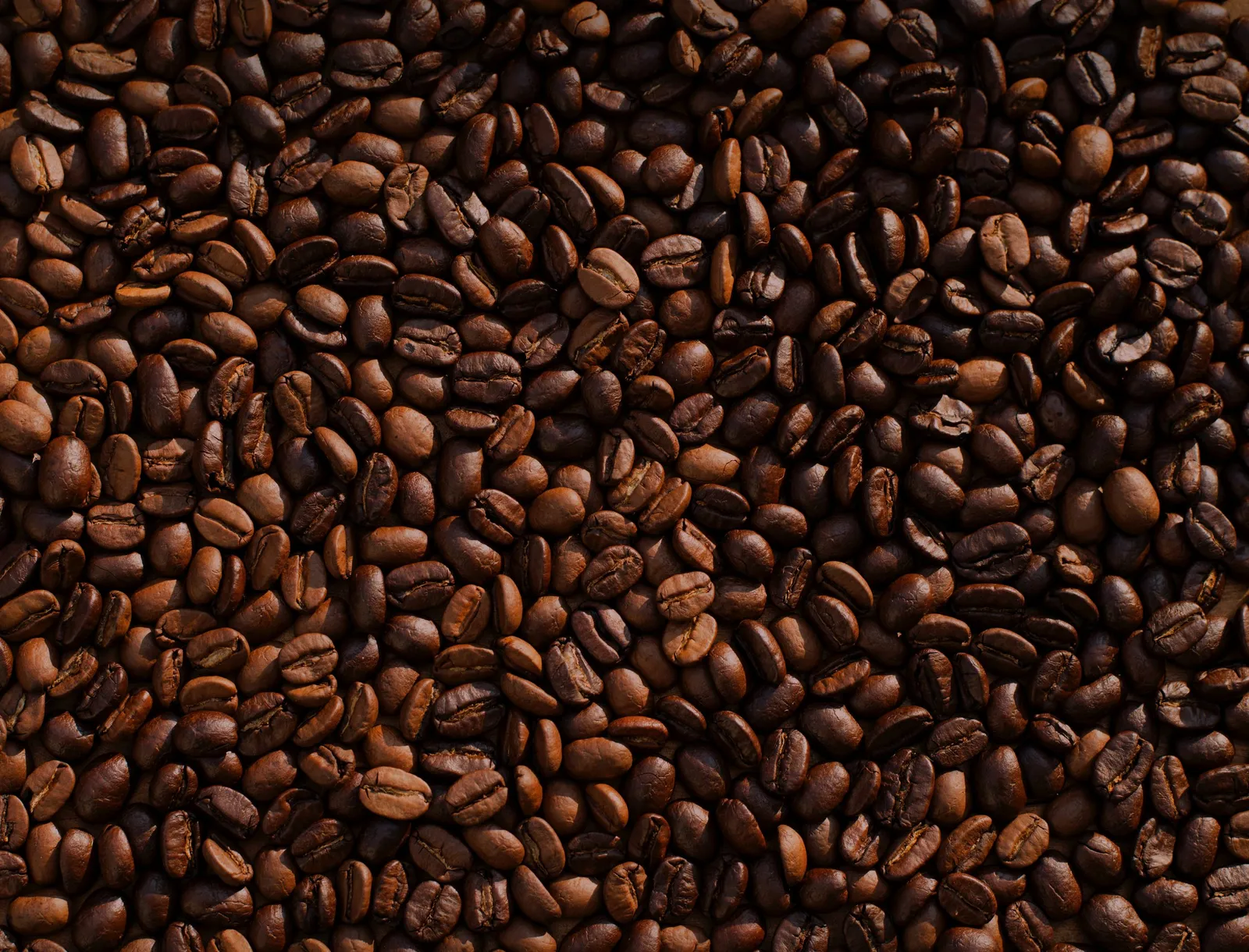 cafe tostado